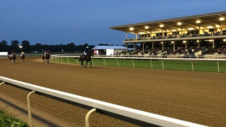 Illustration for: Knightsbridge Joins Sovereignty in Breeders' Cup Classic